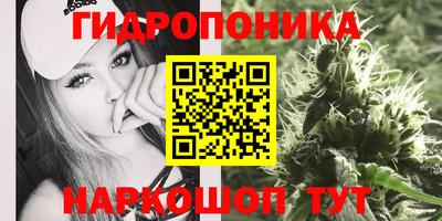 хмурый Будённовск