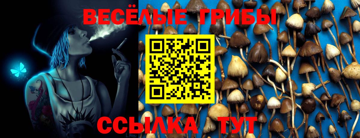 Псилоцибиновые грибы прущие грибы Пятигорск