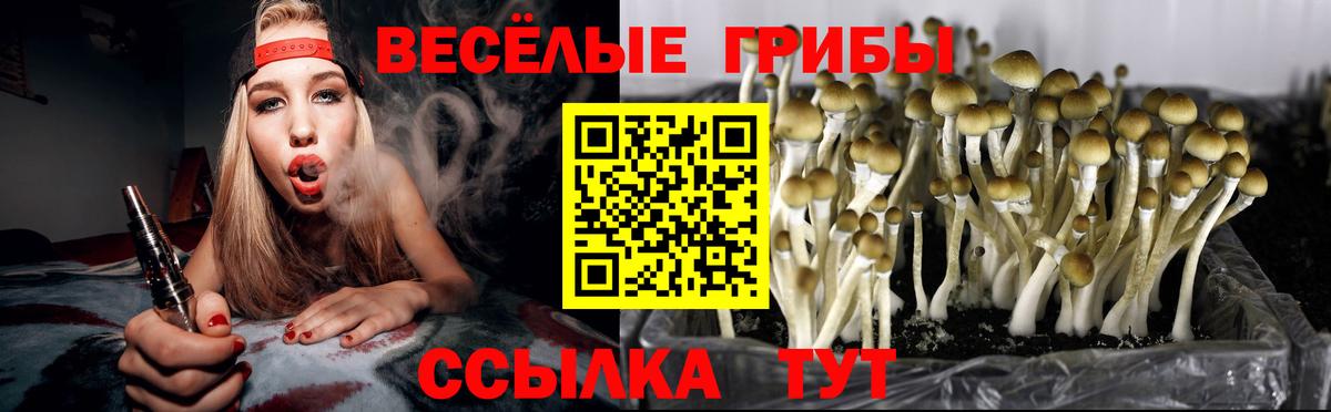 Псилоцибиновые грибы Cubensis  Вход с VPN  Пятигорск 